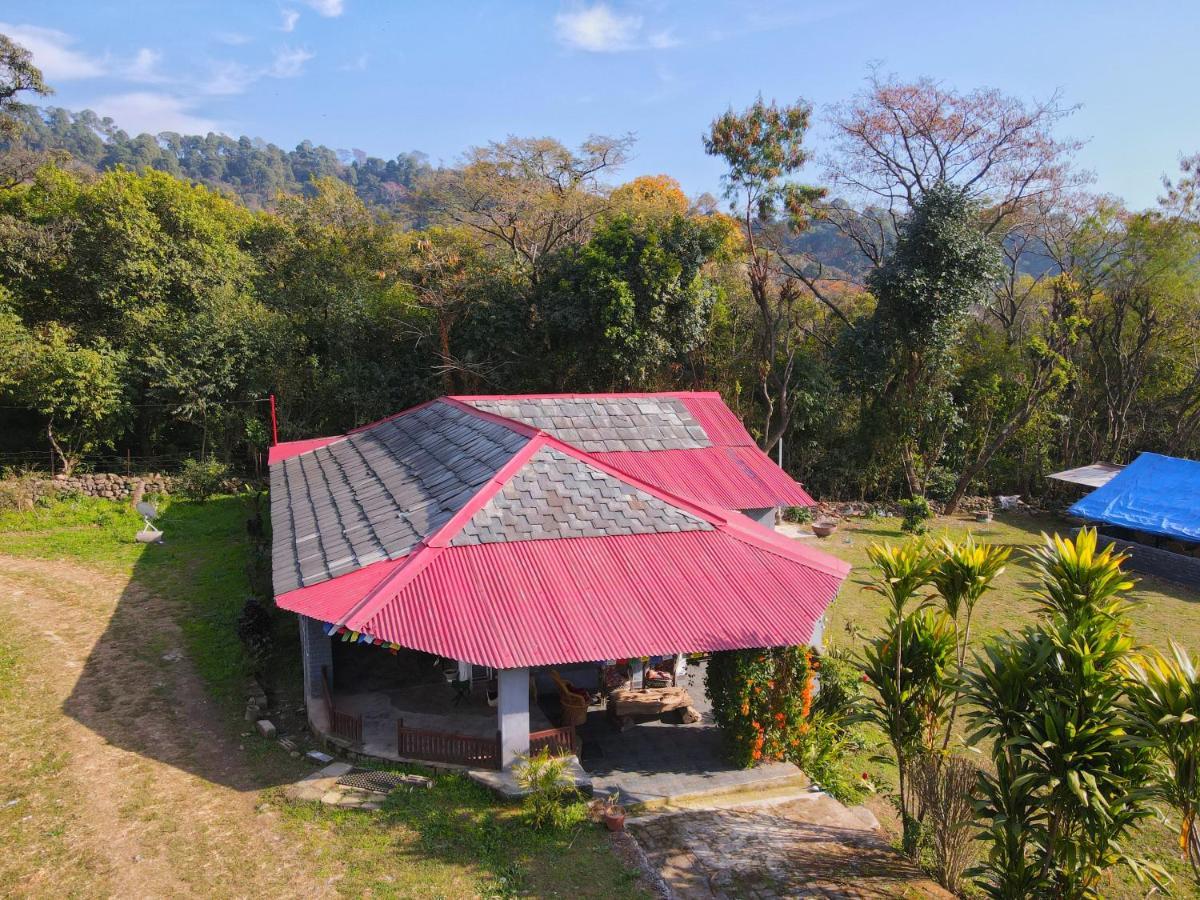 Dreamwoods A Travellers Farm Hostel Νταραμσάλα Εξωτερικό φωτογραφία