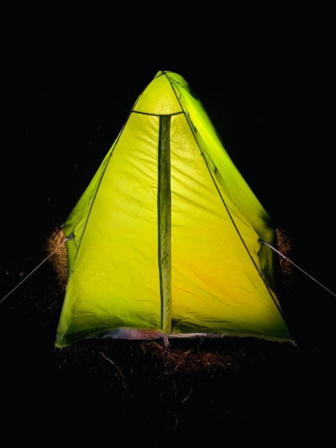Dreamwoods A Travellers Farm Hostel Νταραμσάλα Εξωτερικό φωτογραφία