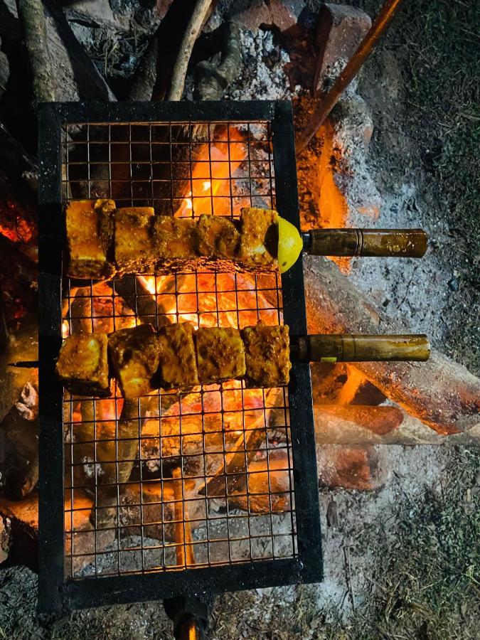 Dreamwoods A Travellers Farm Hostel Νταραμσάλα Εξωτερικό φωτογραφία