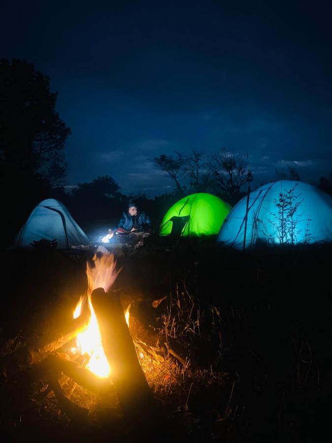 Dreamwoods A Travellers Farm Hostel Νταραμσάλα Εξωτερικό φωτογραφία