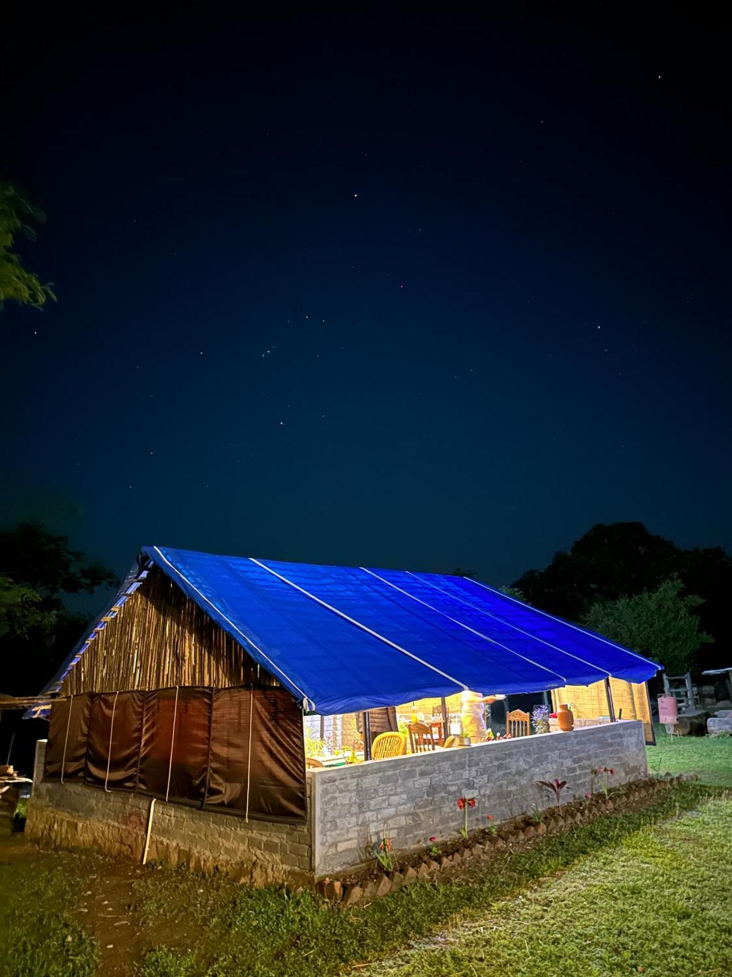 Dreamwoods A Travellers Farm Hostel Νταραμσάλα Εξωτερικό φωτογραφία
