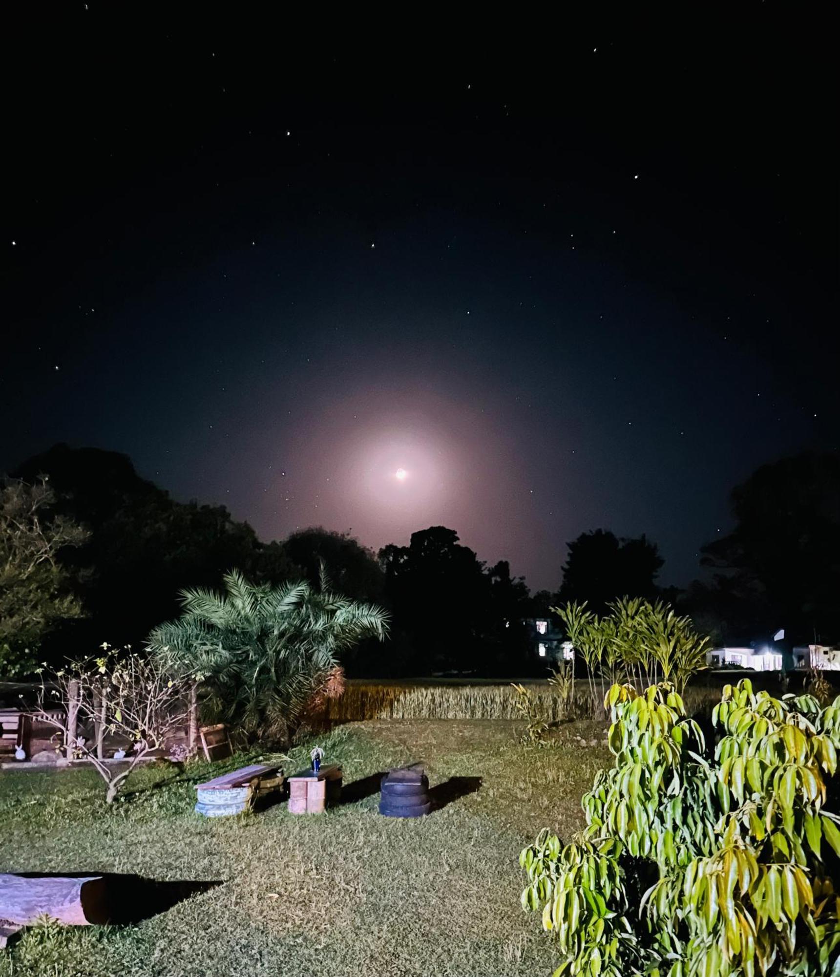 Dreamwoods A Travellers Farm Hostel Νταραμσάλα Εξωτερικό φωτογραφία