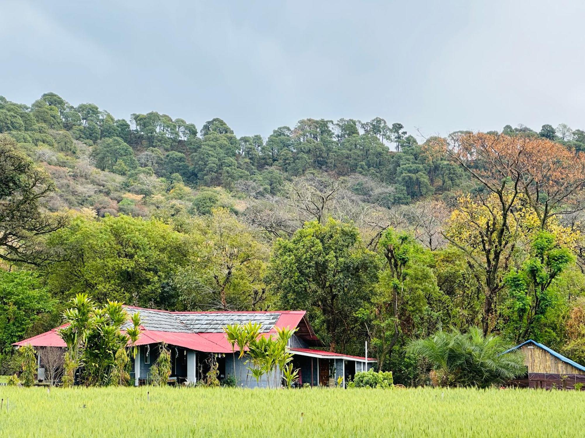 Dreamwoods A Travellers Farm Hostel Νταραμσάλα Εξωτερικό φωτογραφία